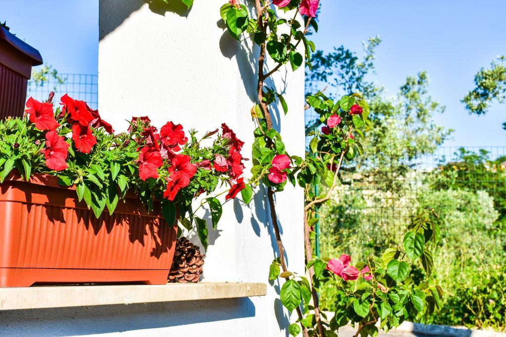 La Quiete Hotel Anagni Exterior photo